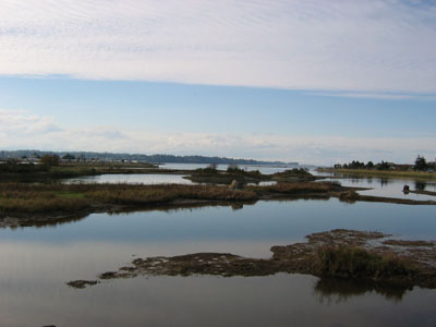 estuary scenic 2.jpg